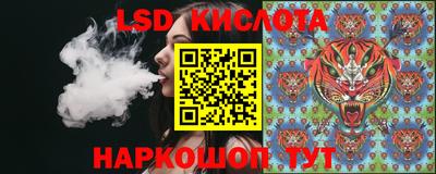 гидра Будённовск