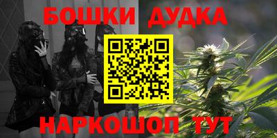 гидра Будённовск