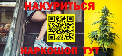 гидра Будённовск