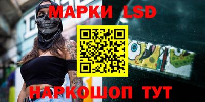 гидра Будённовск