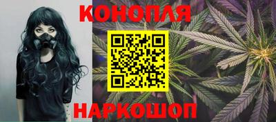 гидра Будённовск
