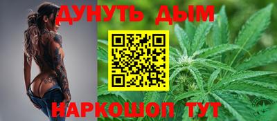 гидра Будённовск