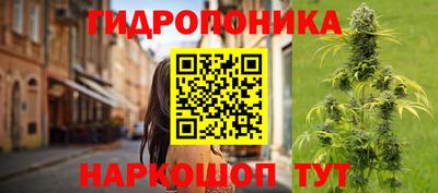 гидра Будённовск