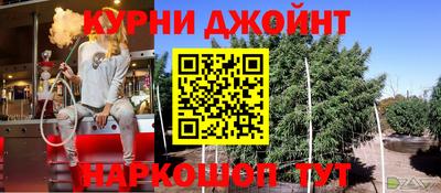 гидра Будённовск