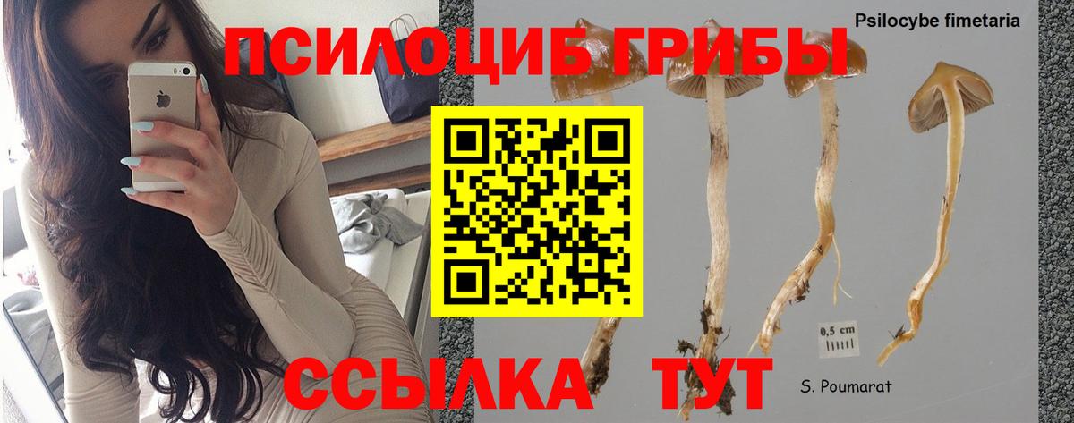 Салехард  Галлюциногенные грибы MAGIC MUSHROOMS  Вход с VPN  Галлюциногенные грибы MAGIC MUSHROOMS 